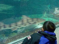 �L�����Ă��܂�