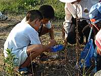 ����T���Ă���Ƃ���