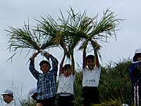 ��������ă|�[�Y