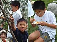 �p�G���A�̎��H�Ǝ��n�̌�