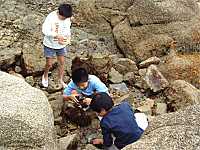 �C�ŗV�ԃA�L�A���X�A�g�V