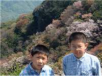 �R���̎l���w��