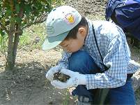 �m�r���̋������@��o�������X