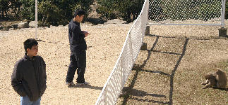 ��������A�L�ƃz�[���X�e�C�̒��w��