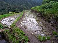 ���w�Z�̓c