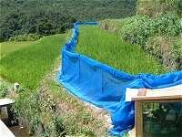 ���w�Z�̓c