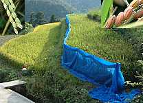 ���w�Z�̓c�ƕ�