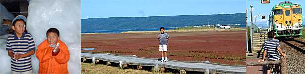 網走流氷館、能取湖さんご草群落、小清水原生花園駅に入るキタキツネ列車