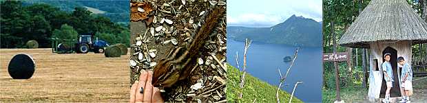 丸めた牧草に機械でカバーしていた、摩周湖第一展望台のシマリス、第三展望台から、阿寒湖アイヌコタン