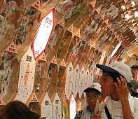 ���m�̏��w���̍�i����