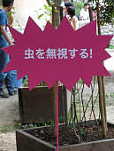 �������낢�ŔE�O���[�C���O���B���b�W��