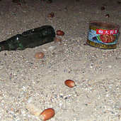 �����Ɍ~��a�ς̊ʋl�E�T�c�L�ƃ��C�̉�