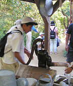 �艟���|���v�̈�ˁE�T�c�L�ƃ��C�̉�