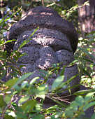 �ʂ̉f��̐Ε�?�E�T�c�L�ƃ��C�̉�