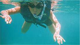 ���ꂢ�ȊC���j���ł��܂�