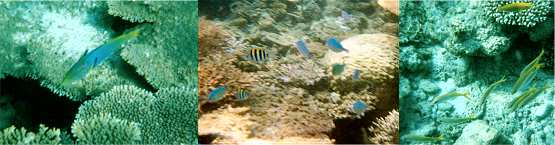 �X��Ƌ�����