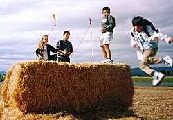 ���̏ォ��