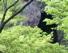 登山道からの老杉洞