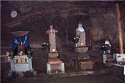 �{�������̕���