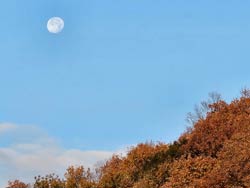 �����̌�