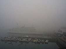 濃霧の池田港