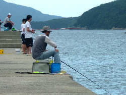 港での釣り