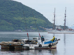 漁船と日本丸