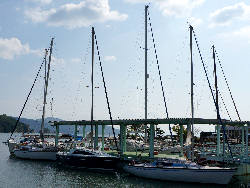 池田港のヨット