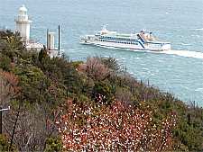 地蔵埼灯台と山桜