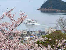 桜の福田港
