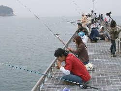連休の釣り桟橋