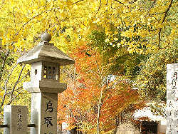 秋の山寺